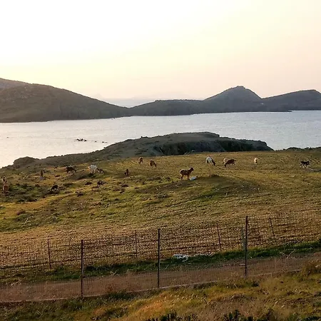 Blue Lagoon Astipalea Ii Your Haven In Heaven! * Analipsi (Astypalaia)